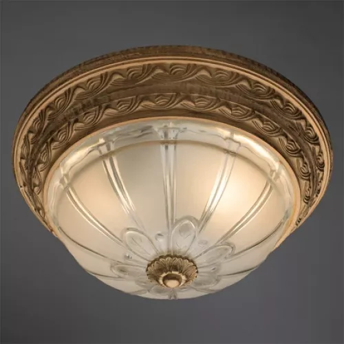 Потолочный светильник Arte Lamp PIATTI A8014PL-2WA