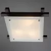 Потолочный светильник Arte Lamp ARCHIMEDE A6462PL-3CK