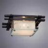 Потолочный светильник Arte Lamp ARCHIMEDE A6463PL-1BR