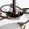 Потолочная люстра Arte Lamp INNOCENTE A6059PL-6AB