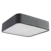 Потолочный светильник Arte Lamp COSMOPOLITAN A7210PL-2BK