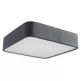 Потолочный светильник Arte Lamp COSMOPOLITAN A7210PL-2BK