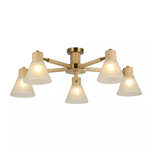 Потолочная люстра Arte lamp MELEPH A4096PL-5BR