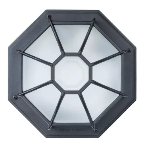 Уличный потолочный светильник Arte Lamp PEGASUS A3100PL-1BK