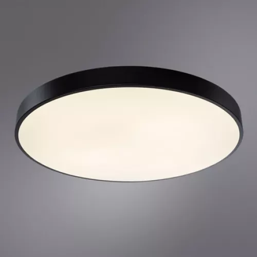 Потолочный светильник Arte Lamp ARENA A2673PL-1BK