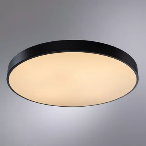 Потолочный светильник Arte Lamp ARENA A2673PL-1BK