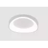 Потолочный светильник Arte Lamp SUALOCIN A2698PL-48WH