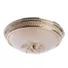 Потолочный светильник Arte Lamp VASSOIO A9205PL-3GO
