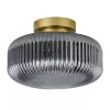 Потолочный светильник Arte Lamp HAMAL A6170PL-1GO
