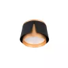 Потолочный светильник Arte Lamp AMAKS A8028PL-1BK