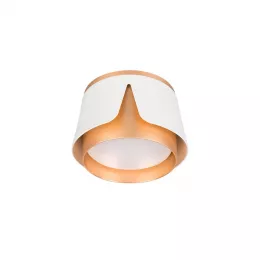 Потолочный светильник Arte Lamp AMAKS A8028PL-1WH