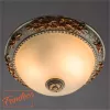 Потолочный светильник Arte Lamp TORTA A7101PL-2WG