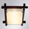 Потолочный светильник Arte Lamp ARCHIMEDE A6462PL-2CKB