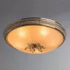 Потолочный светильник Arte Lamp VASSOIO A9205PL-5GO