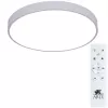 Потолочный светильник Arte Lamp ARENA A2670PL-1WH