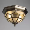 Потолочный светильник Arte Lamp COPPERLAND A7833PL-2AB