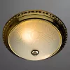 Потолочный светильник Arte Lamp ALTA A3013PL-2GO