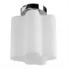 Потолочный светильник Arte Lamp SERENATA A3479PL-1CC