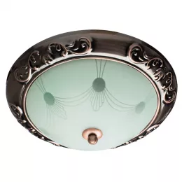 Потолочный светильник Arte Lamp ALTA A3014PL-2AC