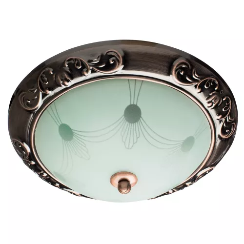 Потолочный светильник Arte Lamp ALTA A3014PL-2AC