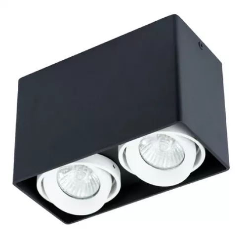 Точечный накладной светильник Arte Lamp PICTOR A5655PL-2BK