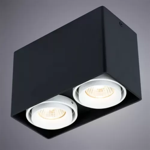 Точечный накладной светильник Arte Lamp PICTOR A5655PL-2BK