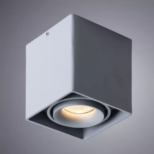 Точечный накладной светильник Arte Lamp PICTOR A5654PL-1GY
