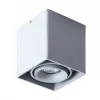 Точечный накладной светильник Arte Lamp PICTOR A5654PL-1GY