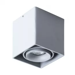 Точечный накладной светильник Arte Lamp PICTOR A5654PL-1GY