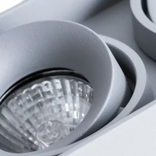 Точечный накладной светильник Arte Lamp PICTOR A5654PL-2GY