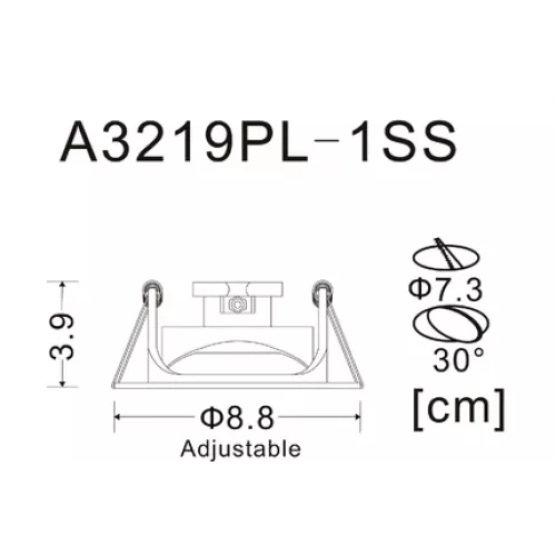 Точечный встраиваемый светильник Arte Lamp ACCENTO A3219PL-1SS