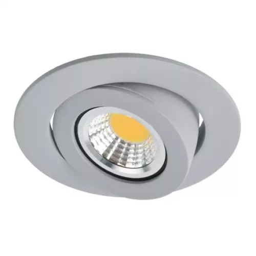 Точечный встраиваемый светильник Arte Lamp ACCENTO A4009PL-1GY