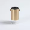 Точечный накладной светильник Arte Lamp LAZIO A5365PL-1SG