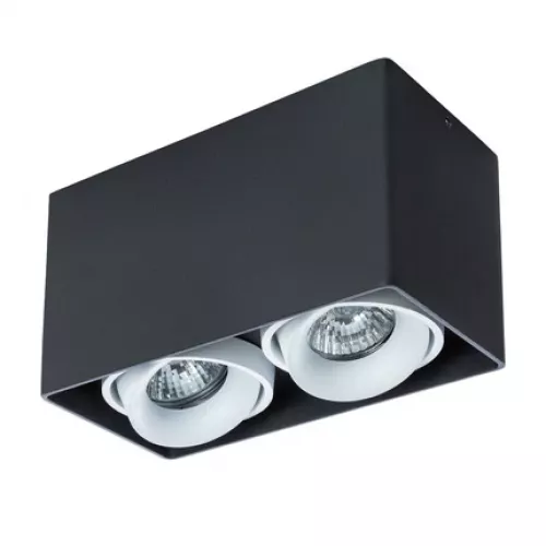 Точечный накладной светильник Arte Lamp PICTOR A5654PL-2BK