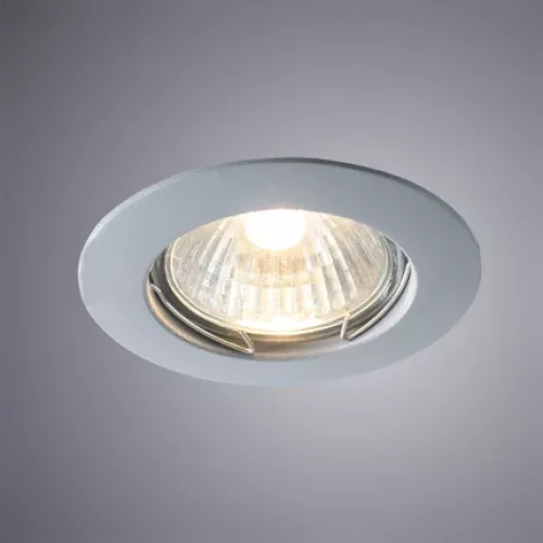 Точечный встраиваемый светильник Arte Lamp PRAKTISCH A2103PL-1GY