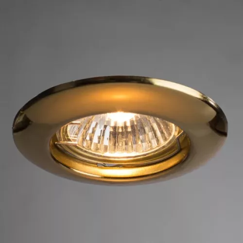 Точечный встраиваемый светильник Arte Lamp PRAKTISCH A1203PL-1GO