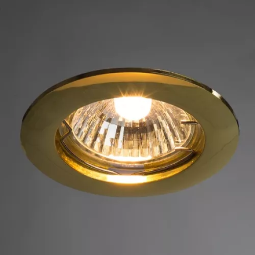 Точечный встраиваемый светильник Arte Lamp BASIC A2103PL-1GO