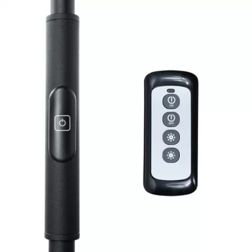 Торшер Arte Lamp SCEPTRUM A1822PN-1BK
