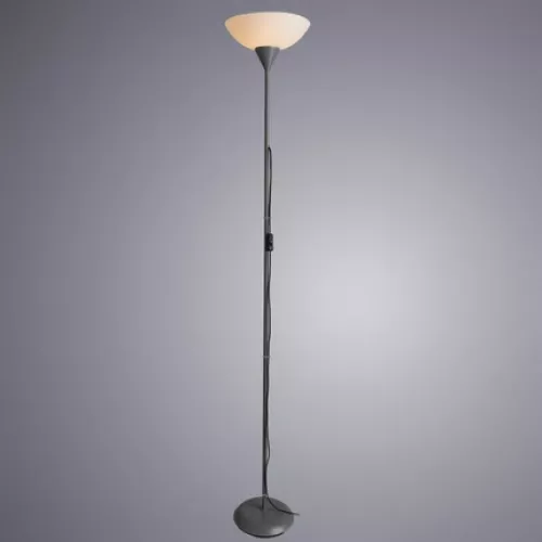 Торшер Arte Lamp DUETTO A9569PN-1SI