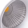 Спот Arte Lamp MEISU A7717PL-1WH