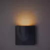 Фасадный светильник Arte Lamp TASCA A8506AL-1GY