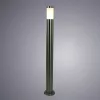 Ландшафтный светильник Arte Lamp PALETTO A8262PA-1SS
