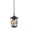 Уличный подвесной светильник Arte Lamp PERSIA A1455SO-1BK