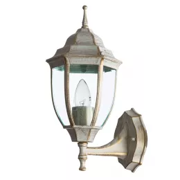 Уличный настенный светильник Arte Lamp PEGASUS A3151AL-1WG
