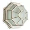 Уличный потолочный светильник Arte Lamp PEGASUS A3121PF-1WG