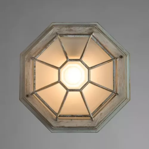 Уличный потолочный светильник Arte Lamp PEGASUS A3121PF-1WG