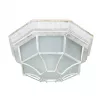 Уличный потолочный светильник Arte Lamp PEGASUS A3121PF-1WG
