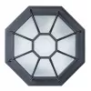 Уличный потолочный светильник Arte Lamp PEGASUS A3100PL-1BK