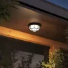 Уличный потолочный светильник Arte Lamp PEGASUS A3100PL-1BK