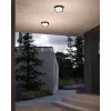 Уличный потолочный светильник Arte Lamp PEGASUS A3100PL-1BK
